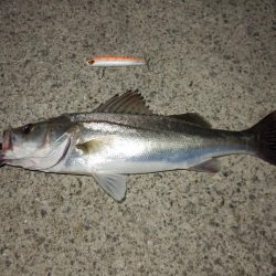 固いの最高‼ドリフト天国!